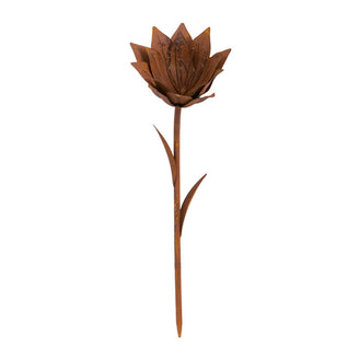 Rusty Lily Garden Flower (4651922882620)