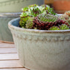 Lacepot Glazed Low Plant Pot (7138278015036)