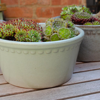 Lacepot Glazed Low Plant Pot (7138278015036)