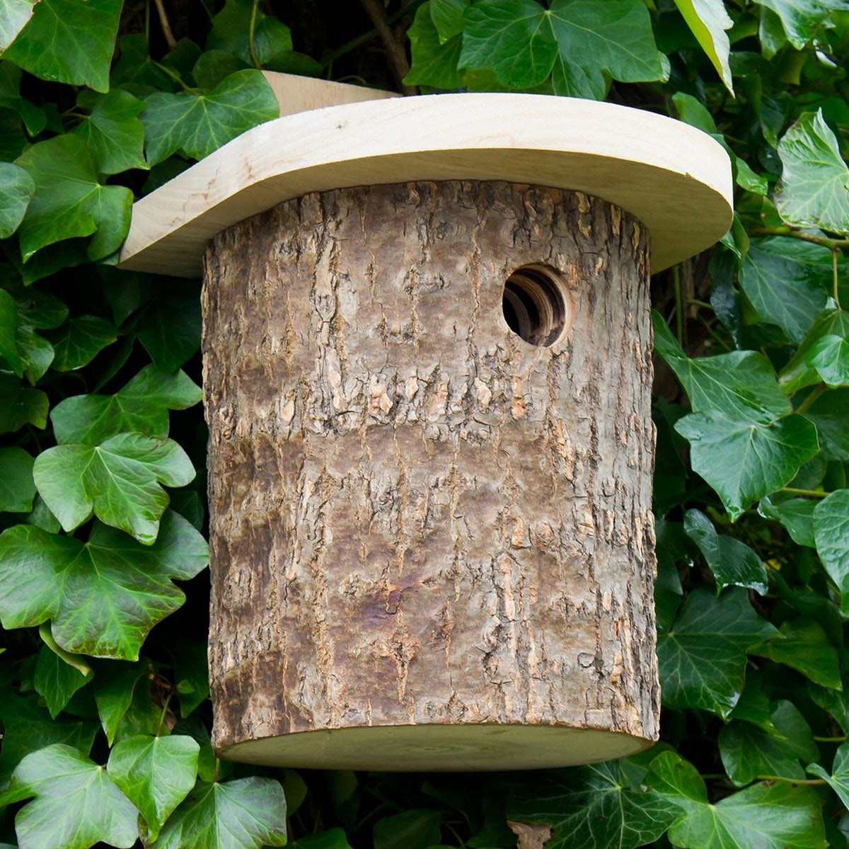 Buy Natural Log Nesting Box — The Worm that Turned - revitalising your ...