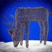 Illuminated Outdoor LED Reindeer (4647972929596)