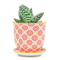 Retro Mini Planter with Saucer (6670648639548)