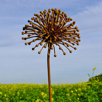 Rusted Seedhead (4653150240828)