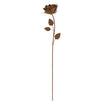 Rusting Metal Rose (4653140738108)