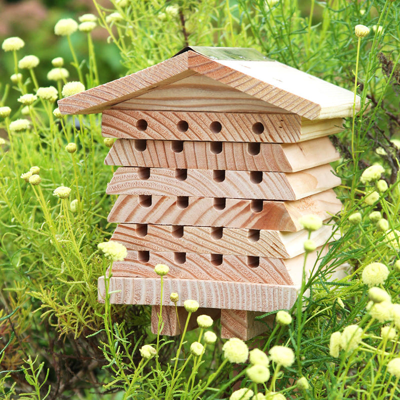 /products/interactive-solitary-bee-hive