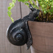 Snail Plant Pot  Decoration (6669796507708)