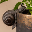 Snail Plant Pot  Decoration (6669796507708)