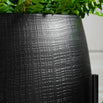 Set of Etched Planters on Stand (6954772398140)