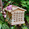 Interactive Solitary Bee Hive (4649562177596)