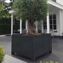 Square Footed Aluminium Planters (4650725736508)