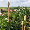 Oak Cane Caps (6643333824572)