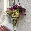 Artisanal Hanging Baskets (7144681898044)