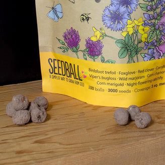 Bee Mix Seed Balls Grab Bag (7150372323388)