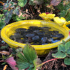 Bee and Butterfly Bath (6647128129596)