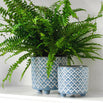 Bilbao Blue Glazed Pots (6960239870012)