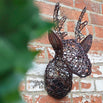 Outdoor Reindeer Head with LED Lights (4648598667324)