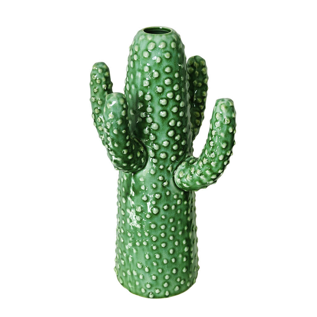 Buy Cactus Vases — The Worm that Turned - revitalising your outdoor space