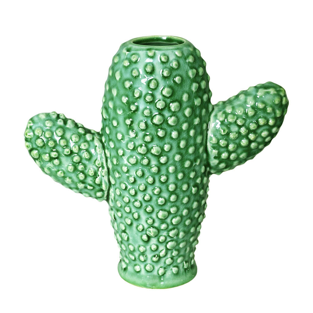 Buy Cactus Vases — The Worm that Turned - revitalising your outdoor space