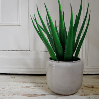 Ceramic Indoor Grey Plant Pot (6601385345084)