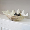 Clam Shell Dish (4651955552316)