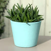 Colourful Painted Plant Pot (4653066289212)