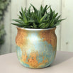 Copper Oxide Indoor Pot (4650075390012)