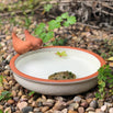 Cream Glazed Bird Bath (4651966824508)