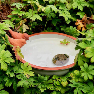 Cream Glazed Bird Bath (4651966824508)