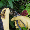 Dry Touch Gloves (4646608044092)