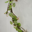 Eucalyptus Hoop with White Berries (7153058611260)