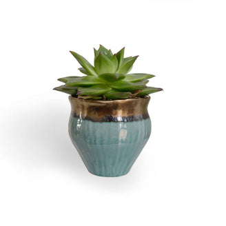 Gold Copper Indoor Plant Pots (4649572663356)