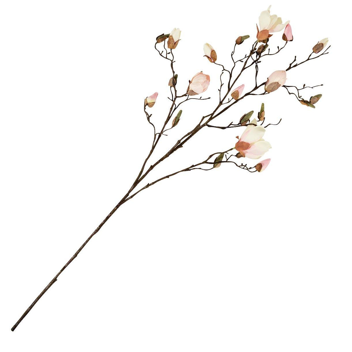 Buy Faux Magnolia Stem — The Worm that Turned - revitalising your ...