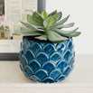 Faux Potted Succulent (4651876515900)