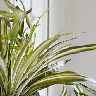 Faux Spider Plant (4651347279932)