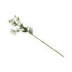 Faux White Astrantia (4649581576252)