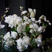 Faux White Astrantia (4649581576252)