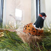 Phileas Pheasant Decoration (4653377290300)