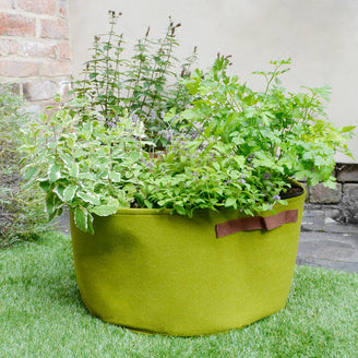 Vigoroot Herb Planter (4650110386236)