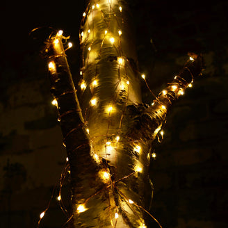 Outdoor LED 8 Copper Wire Strand Fairy Lights (4650095116348)