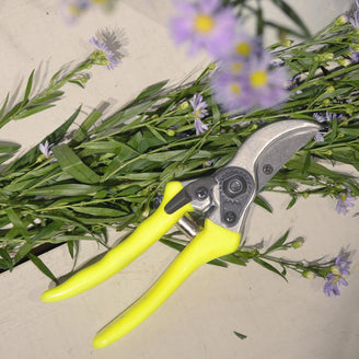 FloraBrite Bypass Secateurs (4649642065980)