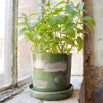 Glazed Indoor Plant Pot and Saucer (4651176853564)