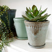 Lacepot Edged Glazed Plant Pot Mixed Blues (7138279784508)