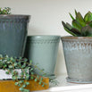 Lacepot Edged Glazed Plant Pot Mixed Blues (7138279784508)