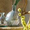 Single Stem Vase (4652494422076)