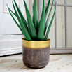 Large Lustre Planter with Saucer (6670655225916)