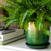 Lustre Planter with Saucer (6670641954876)