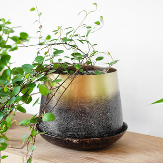 Small Lustre Planter with Saucer (6670637236284)