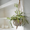 Macrame Hanging Pot (4651959517244)