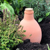 Olla Terracotta Irrigation Pot (6647778345020)