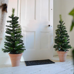 Pair of Pre-Lit Pine LED Doorstep Christmas Trees